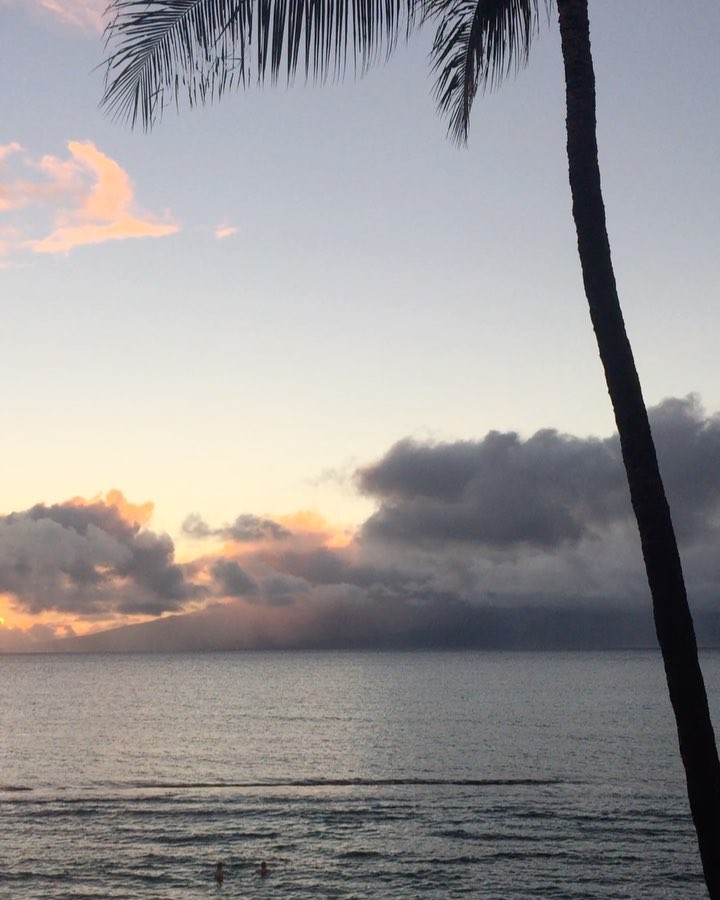 swimmers, palms and molokai in the distance