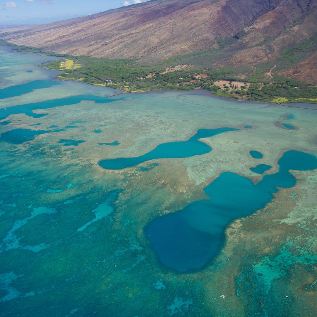 molokai reef from above @sunshinehelicopters