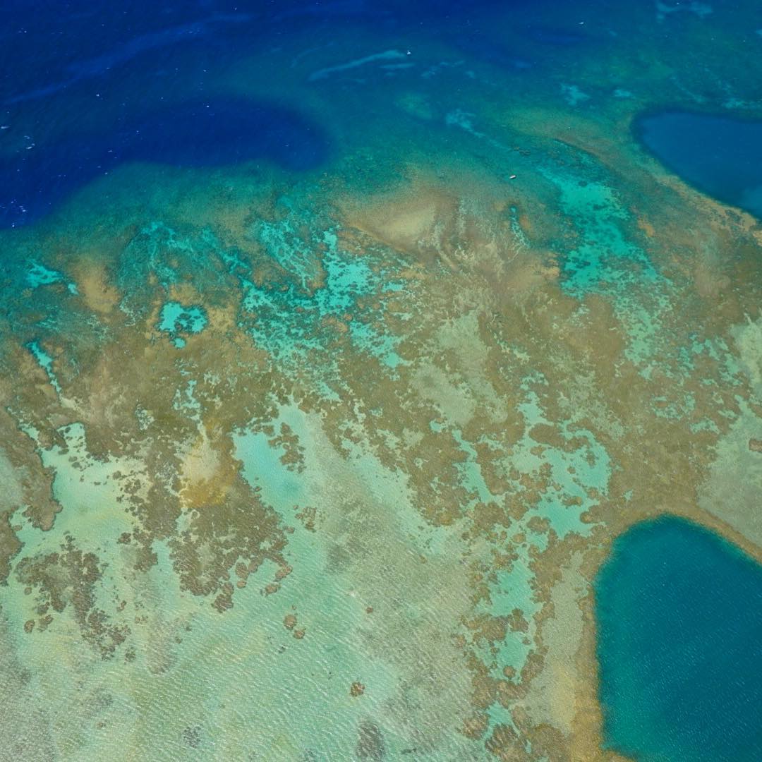another one of the molokai reef from above @sunshinehelicopters