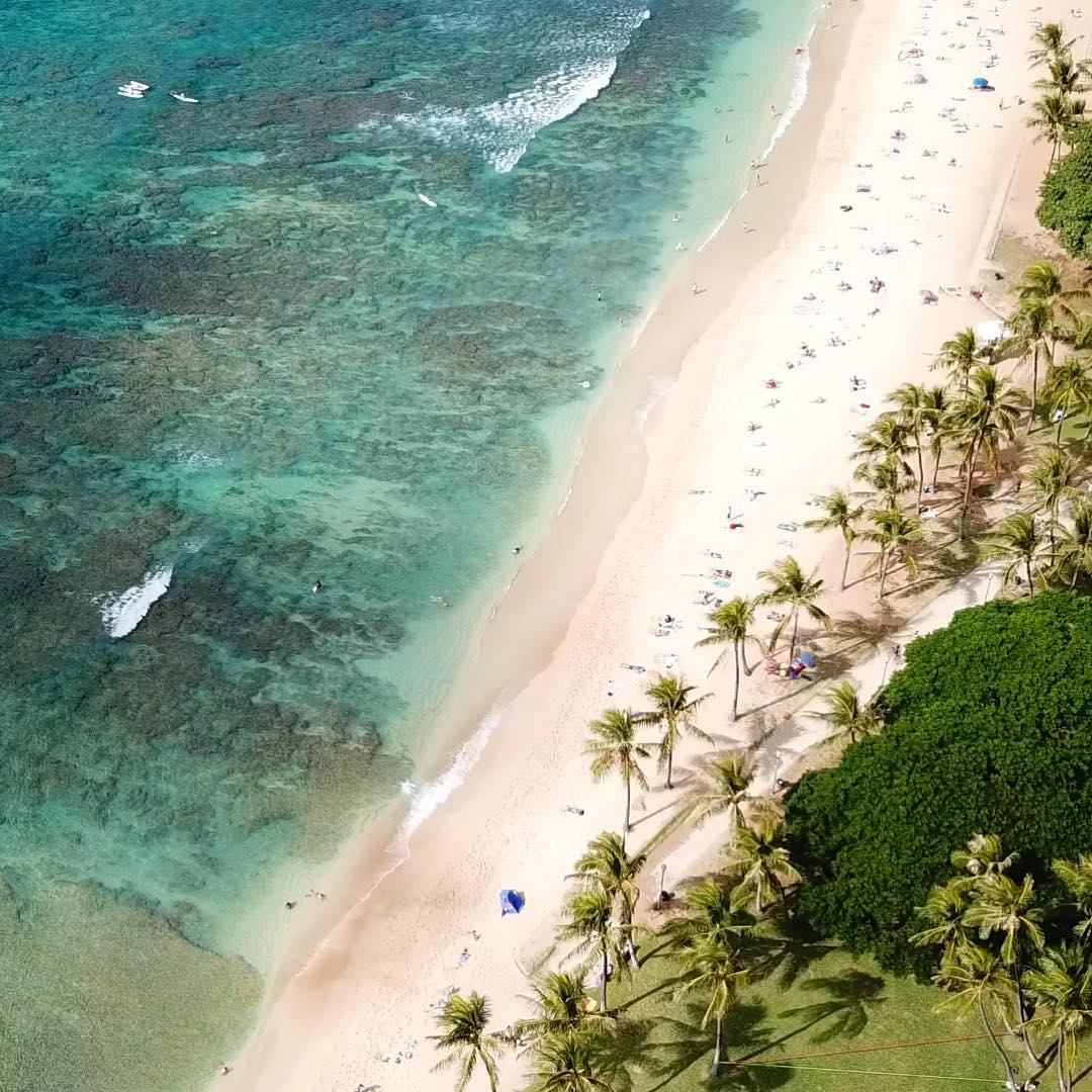 here in Waikiki, find yourself a spot on the sand between the ocean and the palm trees