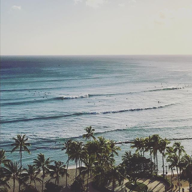 back in waikiki for some lovely sw swell and aloha
