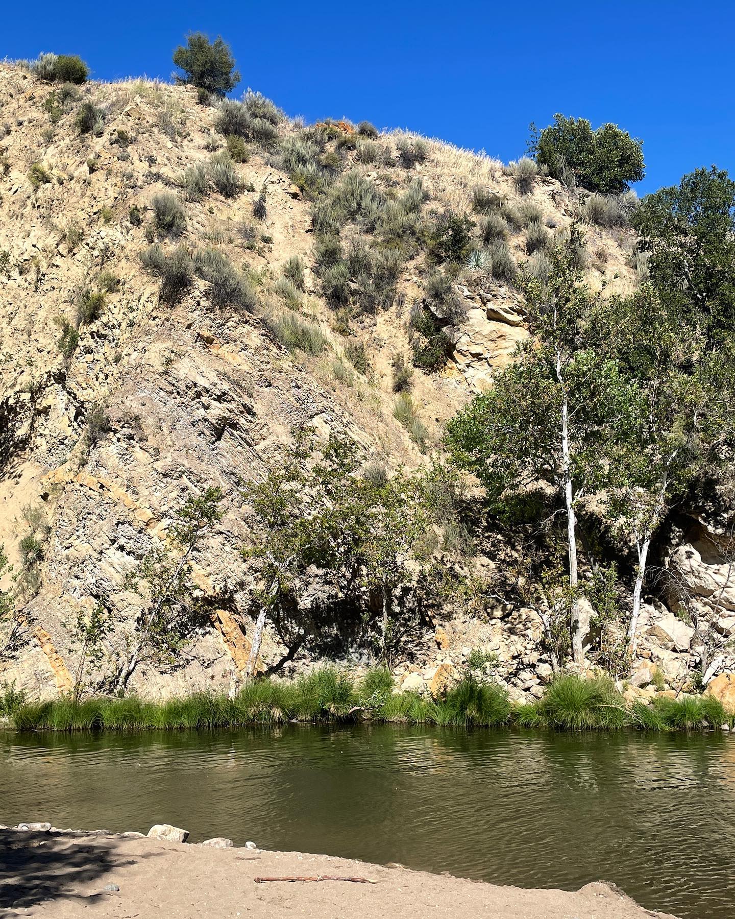 Camped, hiked, and swam at Arroyo Seco, Los Padres National Forest last week. Beautiful river, dramatic granite cliffs, chaparral trees and bushes, and 85 degrees. Amazing place.