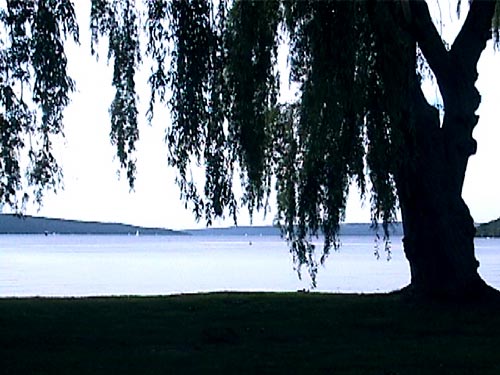 lake cayuga